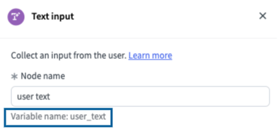 The Variable name field is populated automatically under Text input.