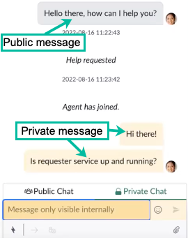 Public and private messages highlighted here are displayed with differing message box colors.