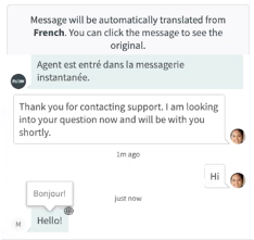 Agent chat window with message banner indicating conversation will be translated from French.