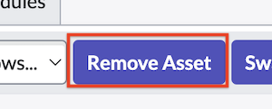 remove asset button