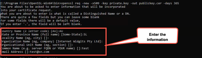 Information fields on command prompt.