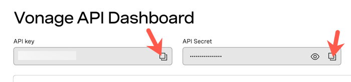 Copy button for API key and API secret.