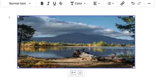 Options to align and download an image in a Doc page.