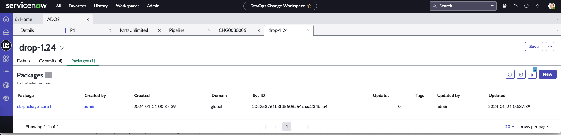 DevOps artifact packages.