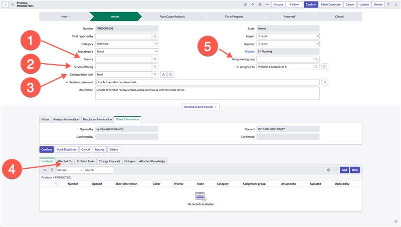 Problem Management form with numbered fields.