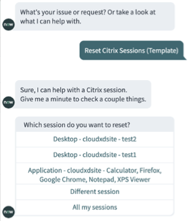 Rubrique Réinitialiser les sessions Citrix.