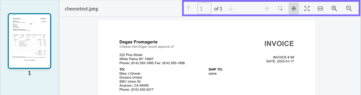 Controls in the Document Intelligence workspace.