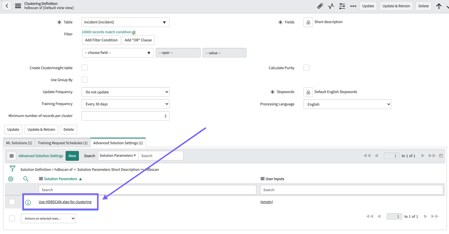 When you submit the record you created, the HDBSCAN solution parameter appears on your clustering solution definition form.