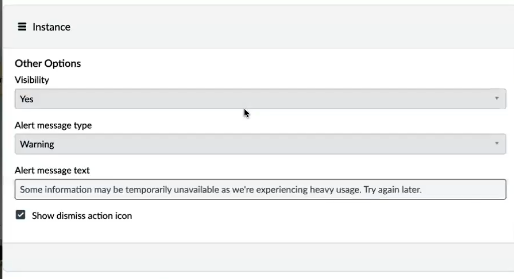 Instance option fields and description