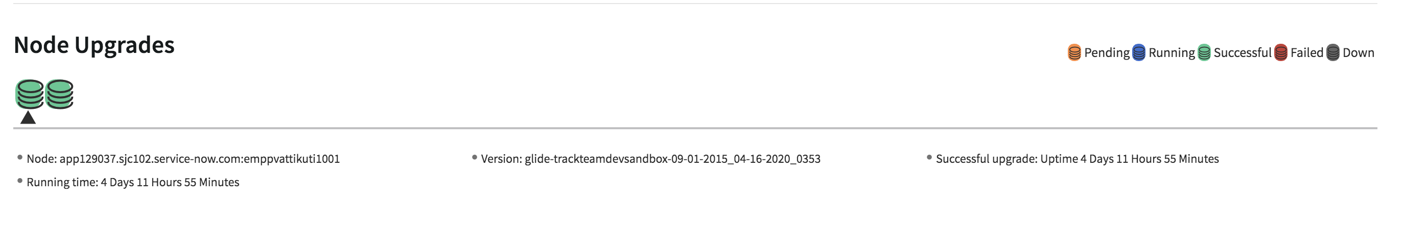 Abbildung mit Knoten-Upgrades im Upgrade-Zusammenfassungsbericht
