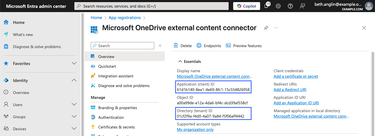 Application's overview page in Microsoft Entra admin center showing application/client and directory/tenant ID values.