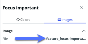 Focus important card illustration with Images tab selected.
