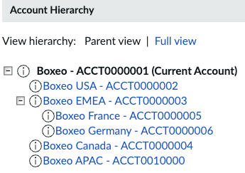 Übergeordnete Ansicht der Accounthierarchie-Struktur mit Informationen zum aktuellen Account und Optionen zum Aktualisieren und Löschen der Accountdetails.
