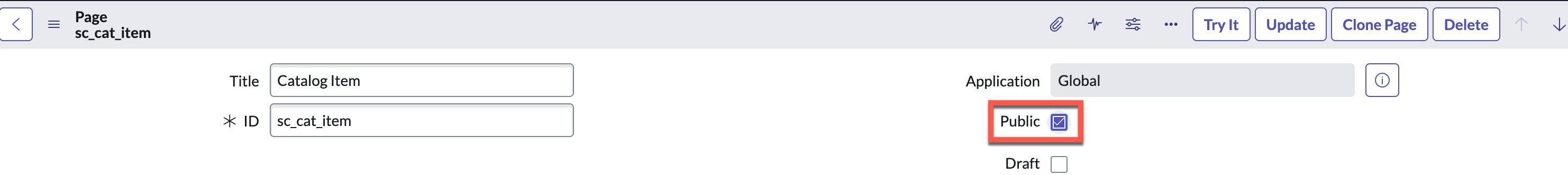 showing service portal page with public checkbox