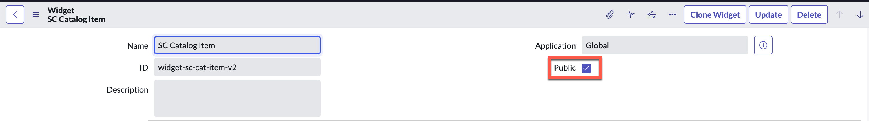 showing widget page with public checkbox