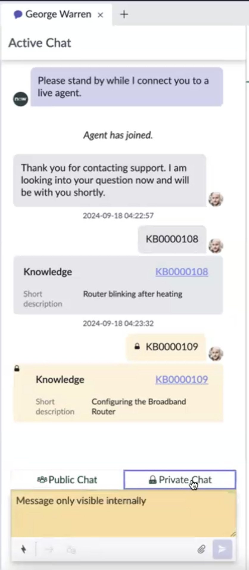 Aktives Kundenchat-Fenster mit privatem Chat und öffentlichem Chat.