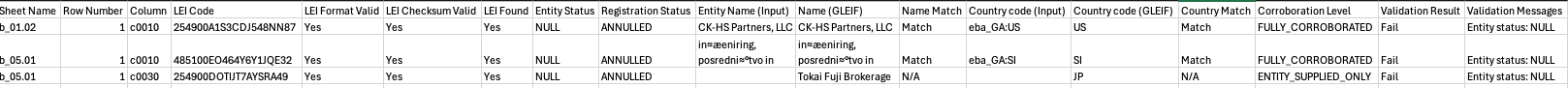 Level 4 LEI Validation Report (Level4_LEI_Validation_Report.csv)