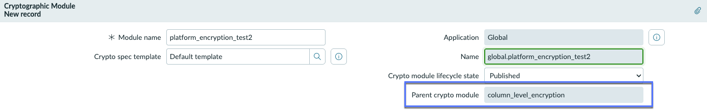 Shows new crypto module form for Column Level Encryption Enterprise.