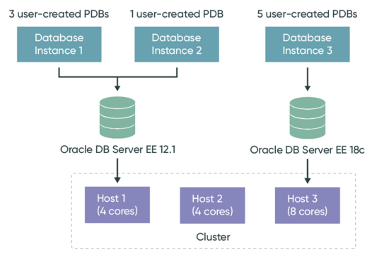 Oracle Multitenant option in use.