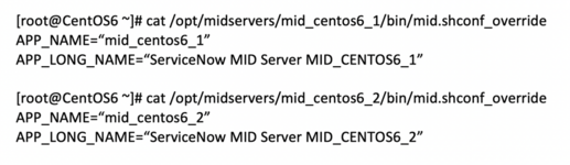 複数の MID Server が非ルートとして名前指定されている。