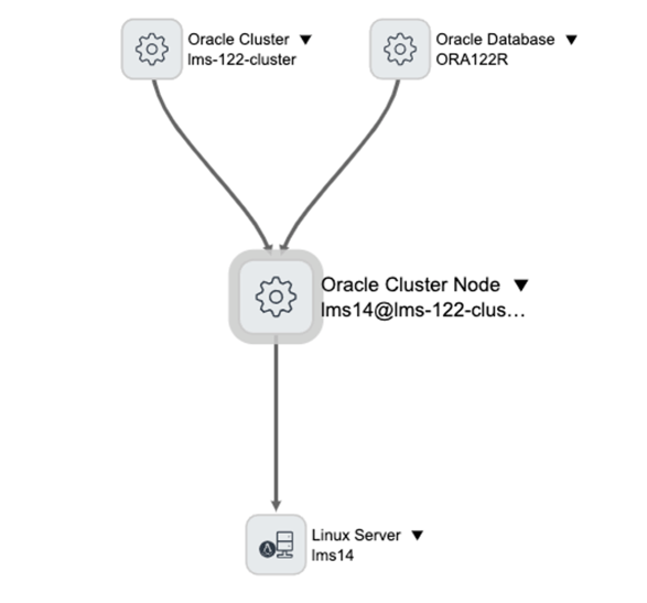 Oracle 클러스터 노드 뷰 맵​.