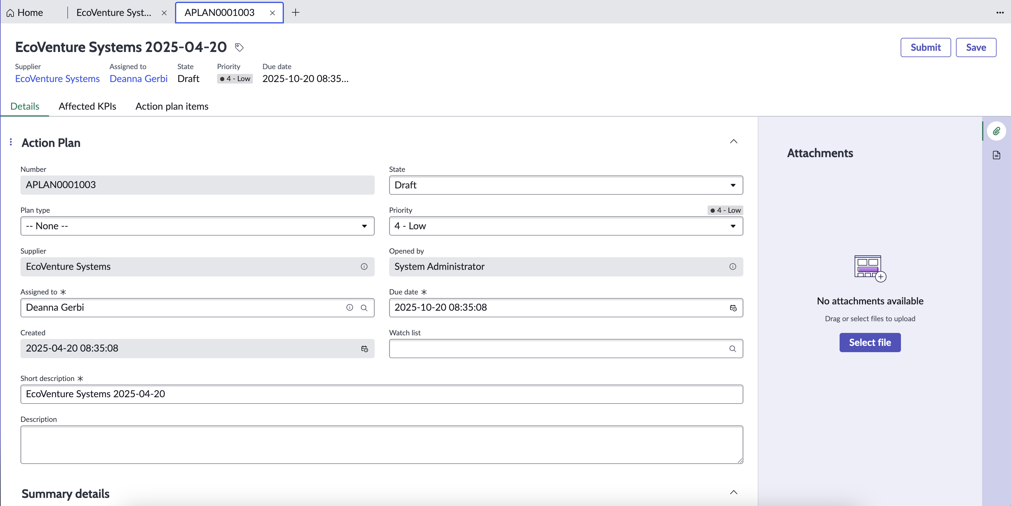 Action plan form details