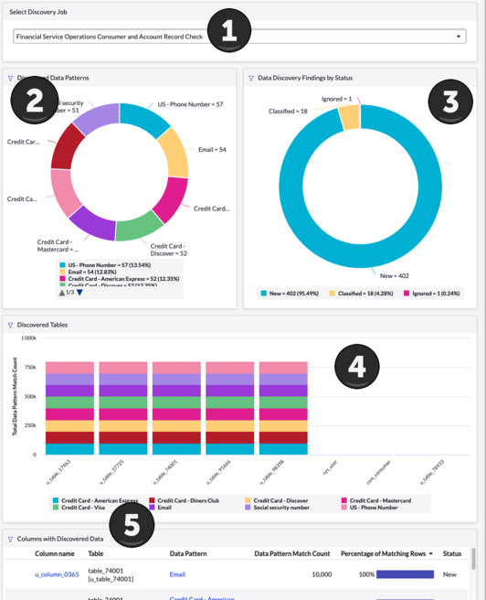 Das Dashboard Datenerkennung mit nummerierten Hinweisen zur Hervorhebung bestimmter Funktionen. Eine Textbeschreibung finden Sie in der Tabelle Datenerkennung Dashboard-Leitfaden.