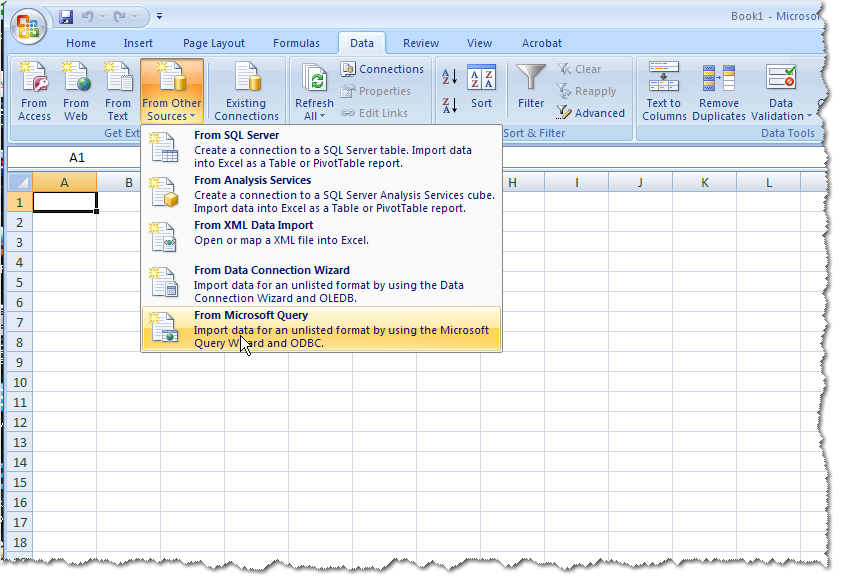 Microsoft Query에서.