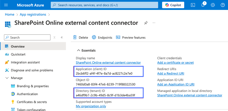 Übersichtsbildschirm für eine registrierte Anwendung Microsoft Azure mit Eigenschaftswerten für Client- und Mandanten-ID.