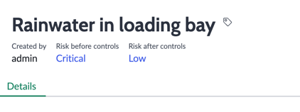 Risk and controls form header showing Risk level fields