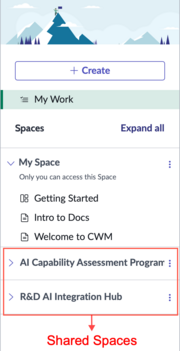 Shared spaces in CWM workspace.