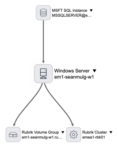 Rubrik Windows 호스트 의존성 뷰
