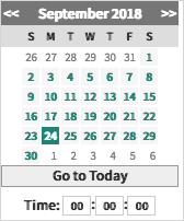 Date/Time picker