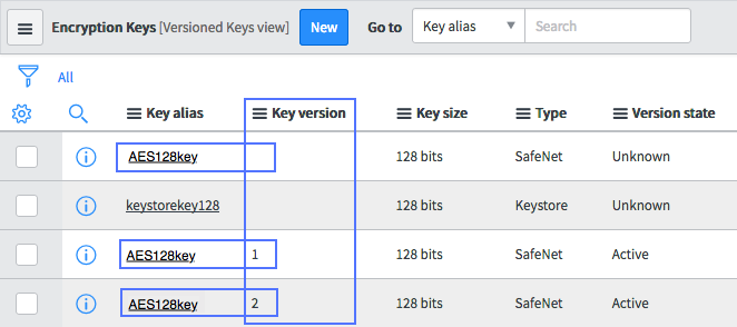 Versioned keys, Key version