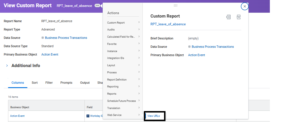 Advanced section with “enable as webservice” checkbox selected and View URLs option highlighted for report web service URLs.