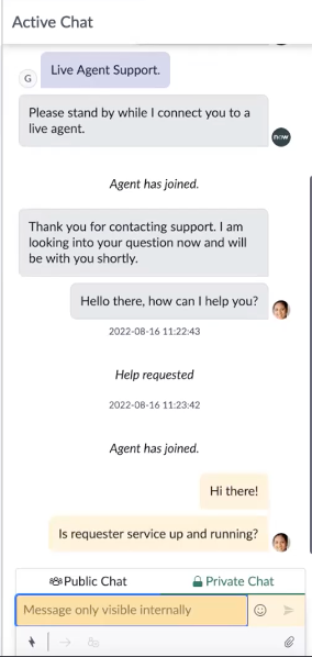 Private Chat option selected in Agent Chat
