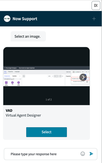 An example chat in which the prompt asks, "Please select the image."