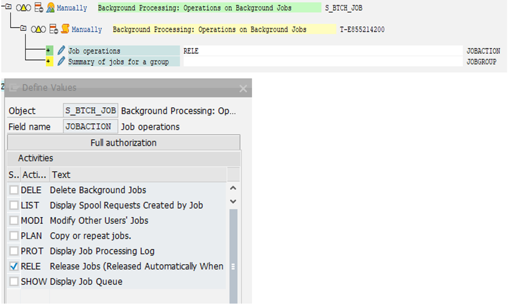 Adding authorization object for background jobs and activities in SAP