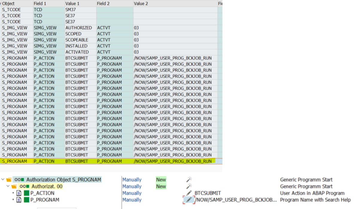 Adding authorization object for program name and activities in the SAP central system