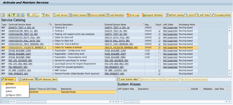 Activate and maintain services page on SAP portal