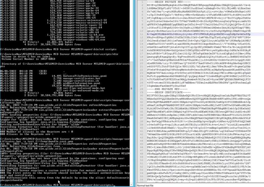 The bundle contains the correct formatting and both the private key and certificate.
