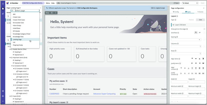 View of CSM landing page with fully customizable content.