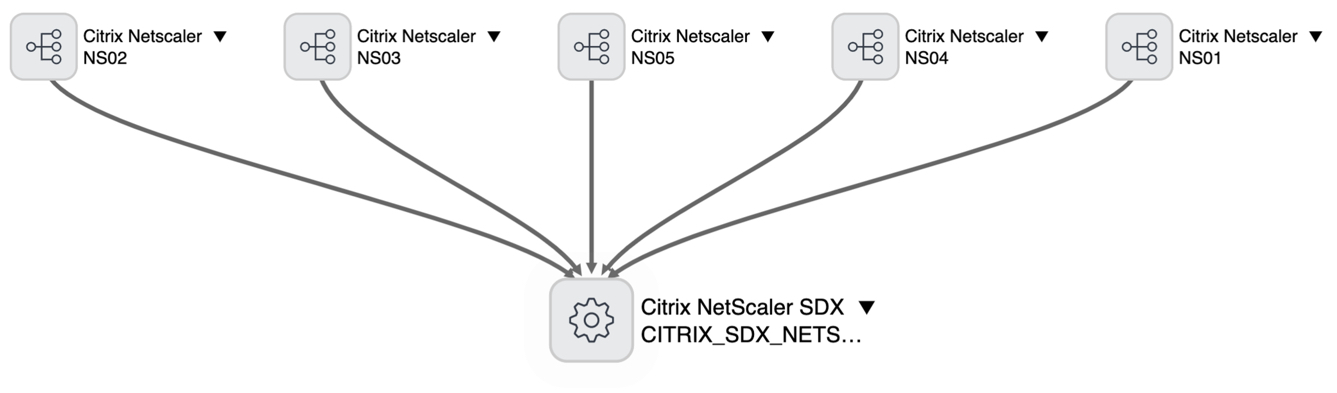 Citrix NetScaler SDX-Abhängigkeit