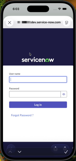 ServiceNow-Hauptseite