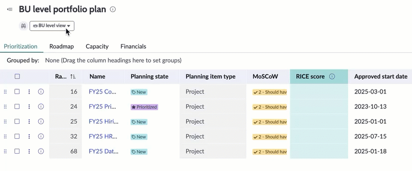 Edit portfolio plan view name.