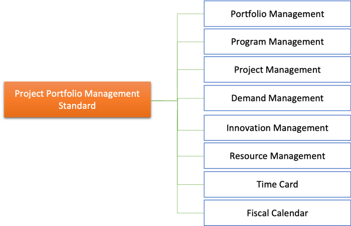 Application installed with Project Portfolio Management Standard