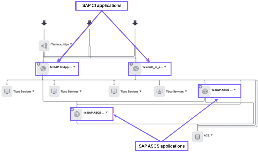 Check the result of mapping an application service containing SAP components integrated with Tibco services.