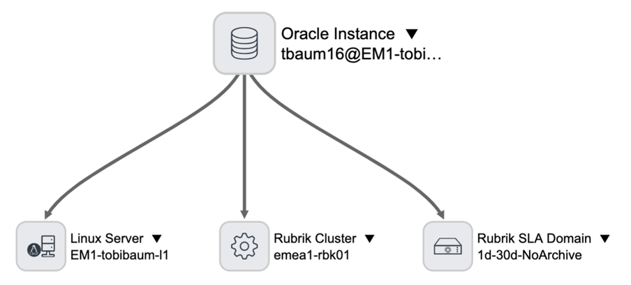 Rubrik Oracle DB 依存関係ビュー