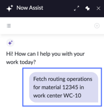 Now Assist panel with entered question highlighted.