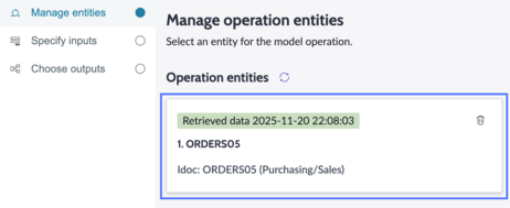 IDoc operation entities card with retrieval date and time.